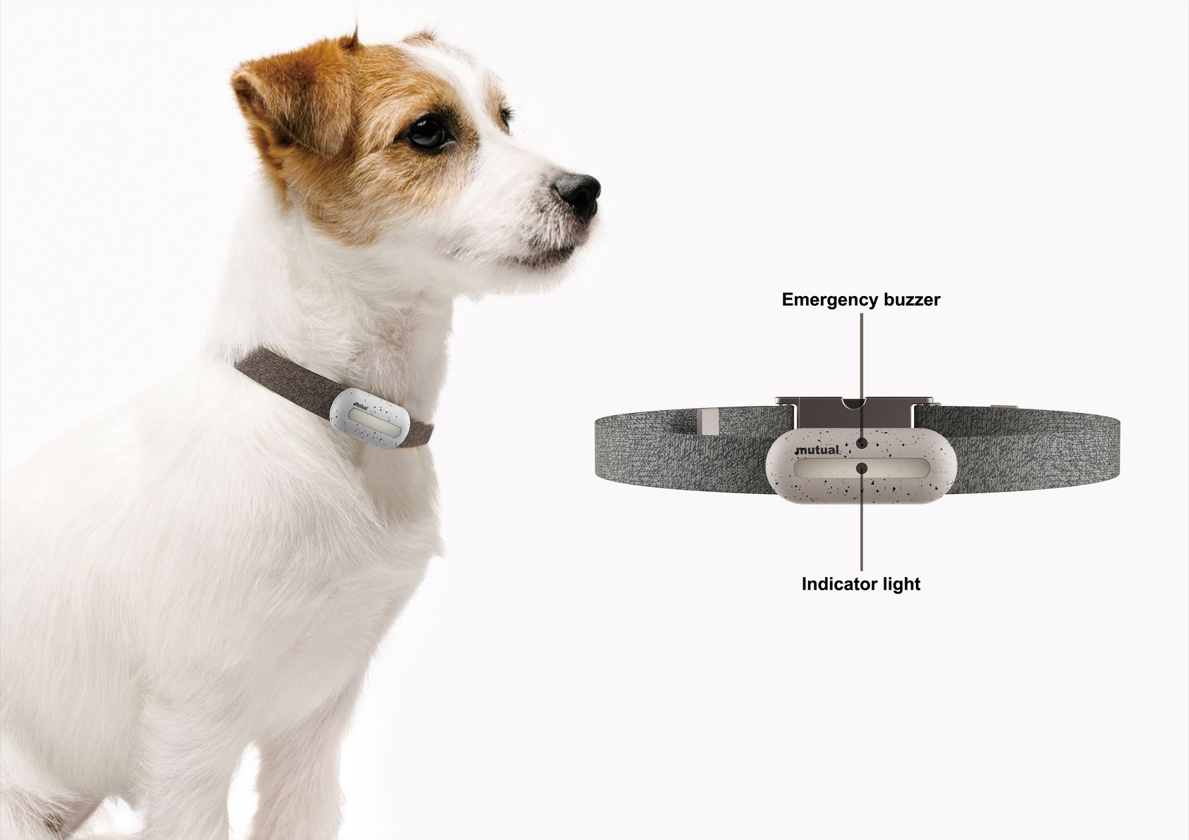 mutual - Smart pet leash & tag-3