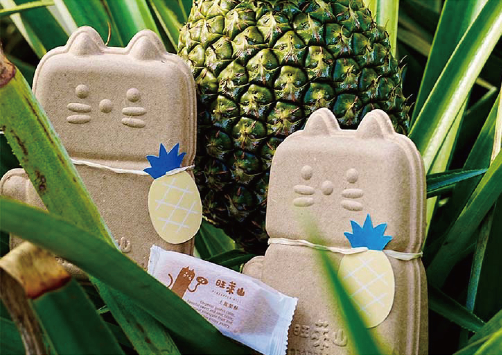 Pineapple-meow Pineapple Fiber Paper-Plastic Package-1
